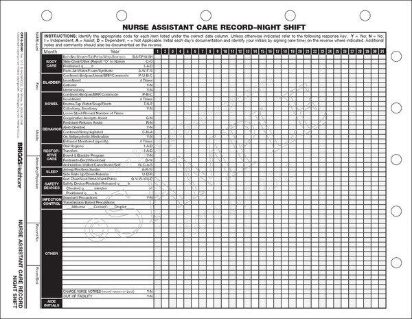 Nurse Assistant Care Record